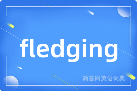 fledging