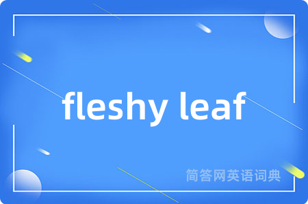fleshy leaf
