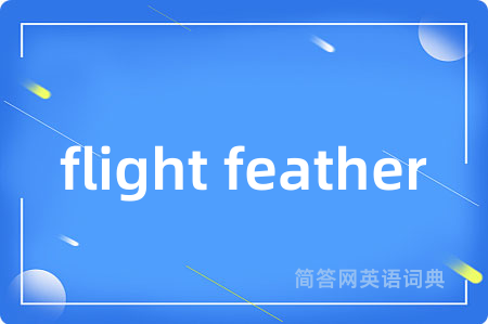 flight feather是什么意思,flight feather的中文翻译 flight feather