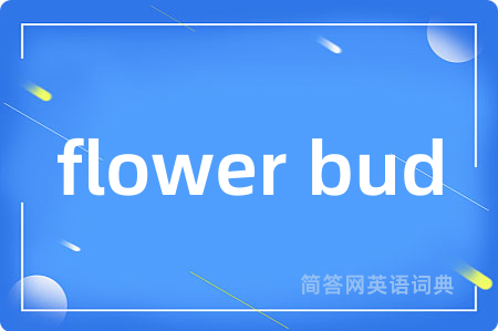 flower bud