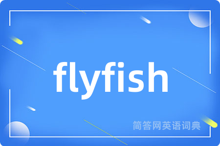 flyfish是什么意思,flyfish的中文翻译 flyfish