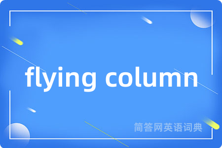 flying column是什么意思,flying column的中文翻译 flying column