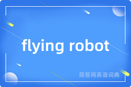 flying robot