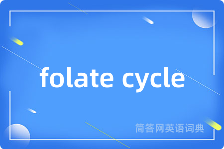 folate cycle是什么意思,folate cycle的中文翻译 folate cycle