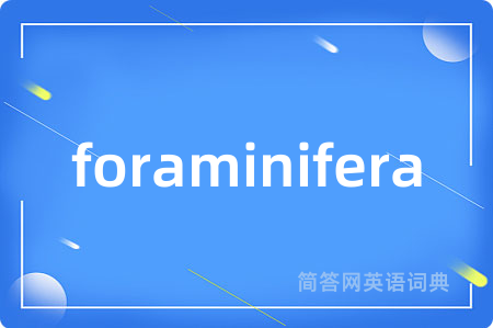 foraminifera