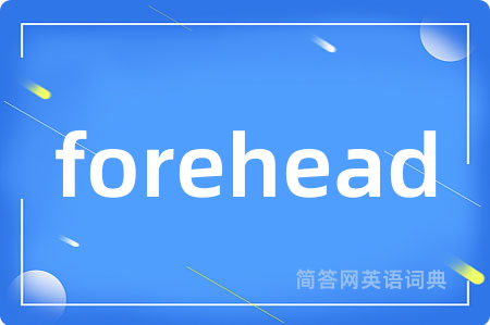 forehead是什么意思,forehead的中文翻译 forehead