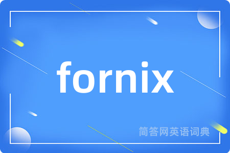 fornix