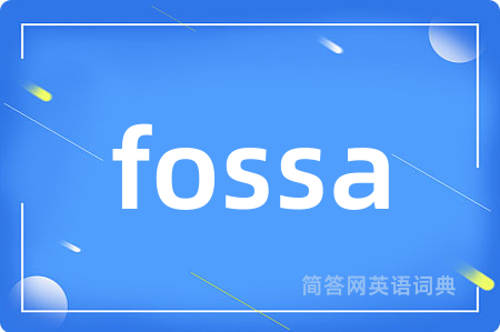 fossa是什么意思,fossa的中文翻译 fossa