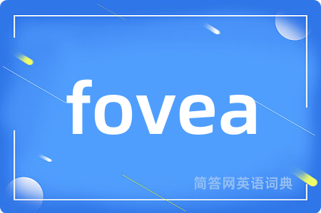 fovea