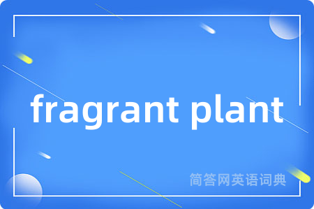 fragrant plant