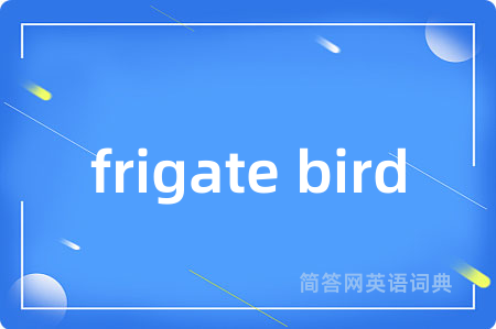 frigate bird是什么意思,frigate bird的中文翻译 frigate bird