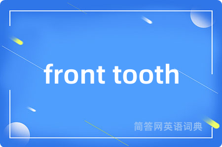front tooth是什么意思,front tooth的中文翻译 front tooth
