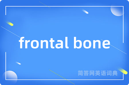 frontal bone