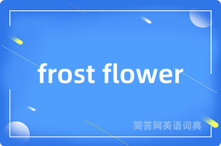 frost flower是什么意思,frost flower的中文翻译 frost flower
