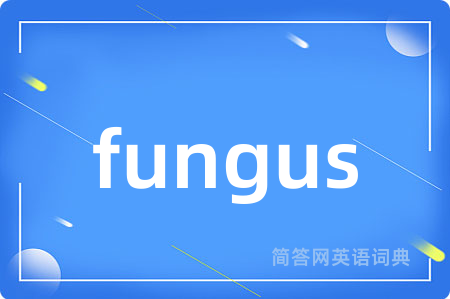 fungus是什么意思,fungus的中文翻译 fungus
