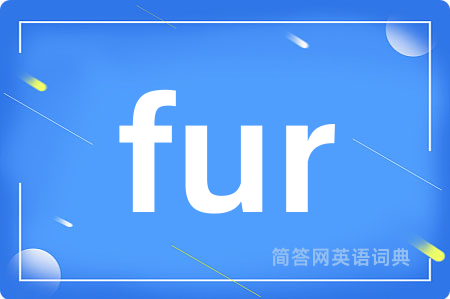 fur是什么意思,fur的中文翻译 fur