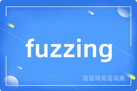fuzzing是什么意思,fuzzing的中文翻译 fuzzing