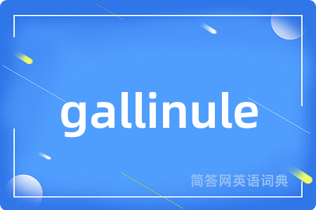 gallinule是什么意思,gallinule的中文翻译 gallinule