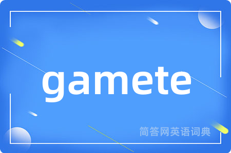 gamete是什么意思,gamete的中文翻译 gamete