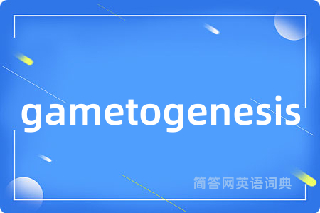 gametogenesis