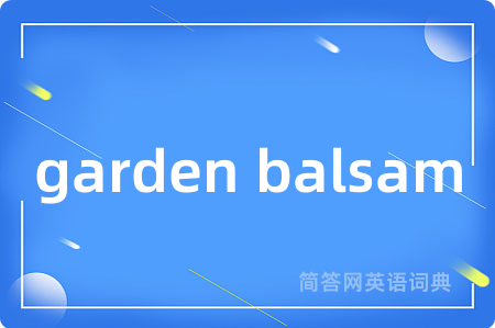 garden balsam