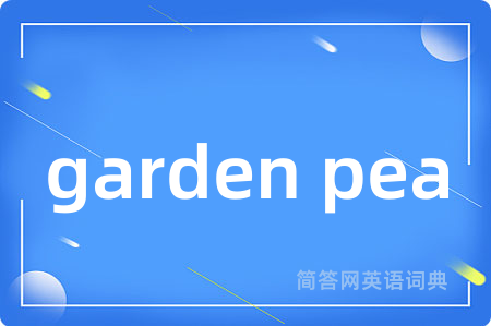 garden pea