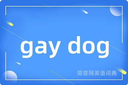 gay dog