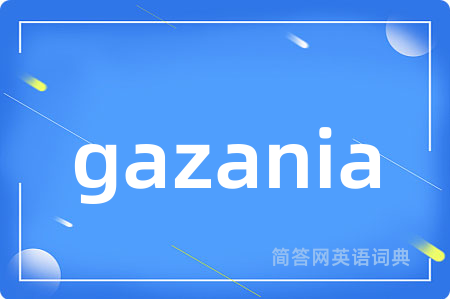 gazania
