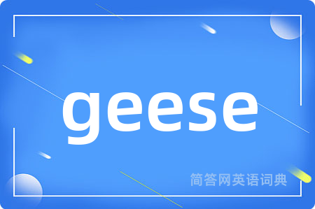 geese