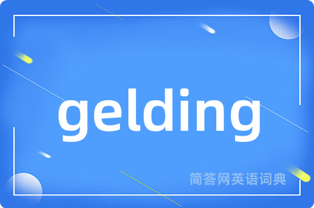 gelding是什么意思,gelding的中文翻译 gelding