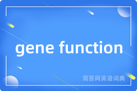 gene function是什么意思,gene function的中文翻译 gene function