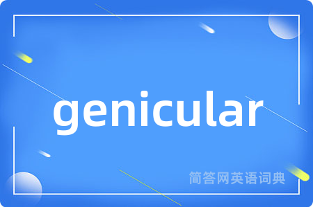 genicular是什么意思,genicular的中文翻译 genicular