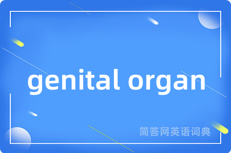genital organ是什么意思,genital organ的中文翻译 genital organ