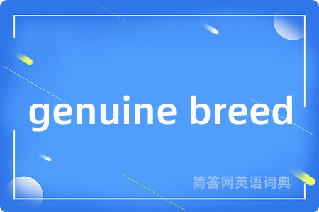 genuine breed是什么意思,genuine breed的中文翻译 genuine breed