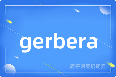 gerbera是什么意思,gerbera的中文翻译 gerbera