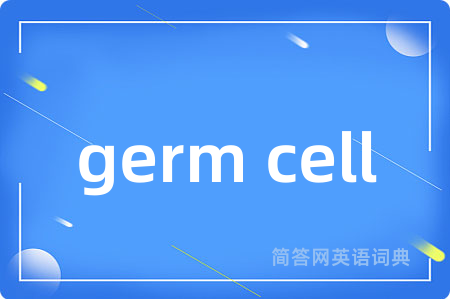 germ cell