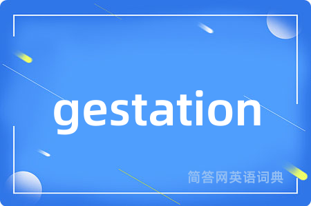 gestation