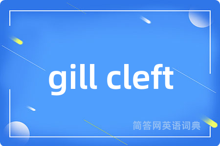 gill cleft是什么意思,gill cleft的中文翻译 gill cleft