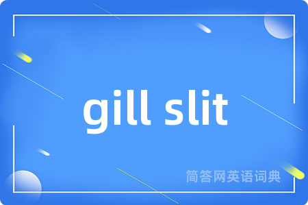 gill slit是什么意思,gill slit的中文翻译 gill slit