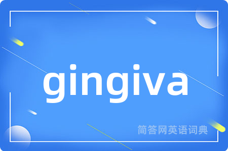 gingiva