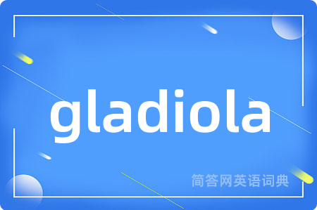 gladiola