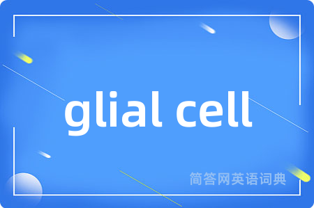 glial cell