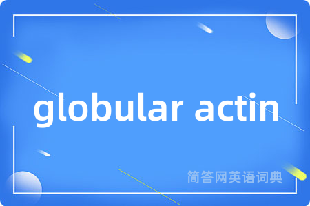 globular actin