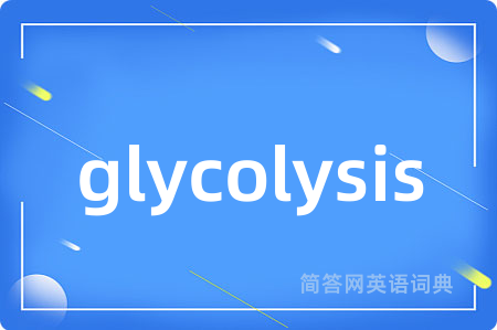 glycolysis
