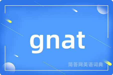 gnat