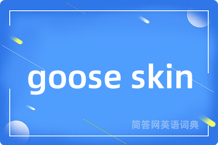 goose skin是什么意思,goose skin的中文翻译 goose skin