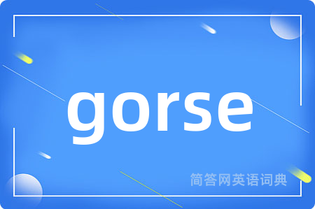 gorse