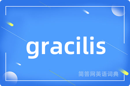 gracilis