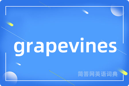 grapevines