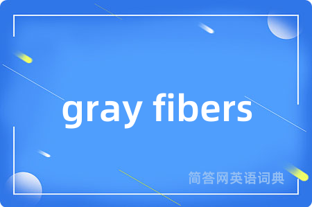 gray fibers